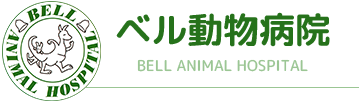 横浜市鶴見区の動物病院はベル動物病院へ。診療動物は犬、猫、ハムスター、鳥です。